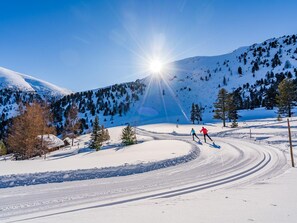 Skidåkning och snöaktiviteter