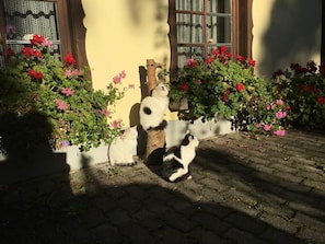 Boendeområde