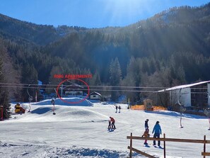Sne- og skisport