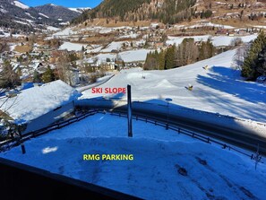 Sne- og skisport