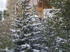 Exterior detail
