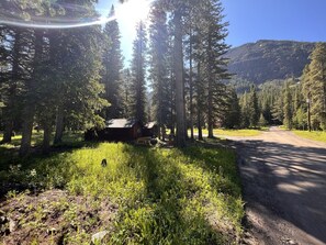 IMG_1377