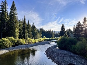IMG_1980201
