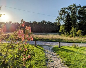 Boendeområde