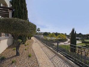 Pflanze, Himmel, Strassenbelag, Zaun, Wolke, Grundstueck, Hecke, Baum, Holz, Gehölz