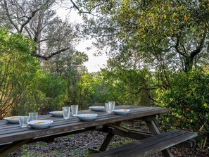 Table, Furniture, Plant Community, Plant, Picnic Table, Natural Landscape, Shade, Tree, Outdoor Furniture, Wood