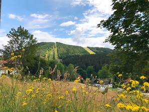 Blume, Himmel, Pflanze, Wolke, Pflanzengemeinschaft, Ökoregion, Natürliche Landschaft, Berg, Grundstueck