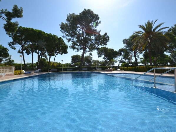 L'Eau, Plante, Ciel, Piscine, Bleu Azur, Arbre, Ombre, Composite, Loisir, Arecales