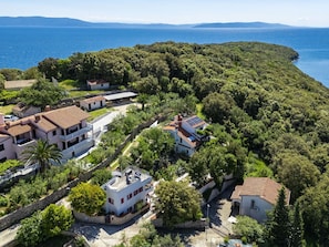 Tree, Residential Area, Vegetation, Bird'S-Eye View, House, Landscape, Coast, Coastal And Oceanic Landforms, Home, Aerial Photography