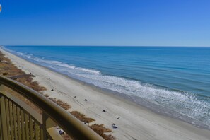 Northern coastal views
