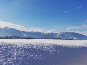 Mörtbauerhof und Haus Frühauf
