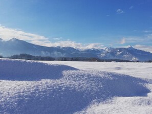 Mörtbauerhof und Haus Frühauf