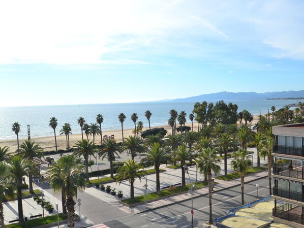 Pflanze, Himmel, Wasser, Eigentum, Gebäude, Azurblau, Baum, Schwimmbad, Urban Design, Arecales
