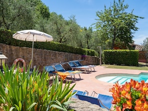 Plante, Fleur, Ciel, Propriété, Meubles, Botanique, Bleu Azur, Arbre, Parapluie, Mobilier De Jardin