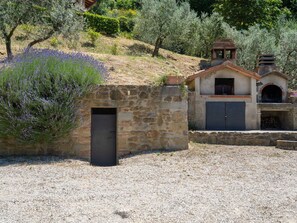 Plante, Bâtiment, Communauté Des Plantes, Porte, Feuille, Arbre, Botanique, Surface De La Route, Lot Terre, Végétation