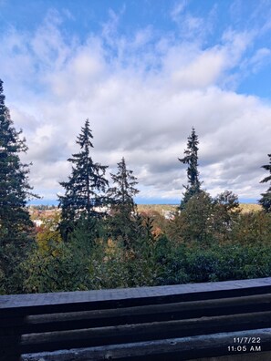 View from property