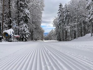 Sports d’hiver