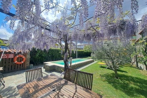 jardim na primavera