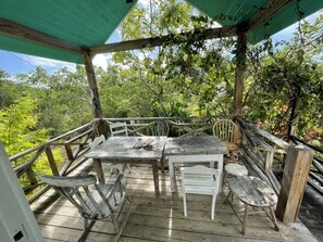 Back Porch (1)