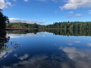 Wild Goose Pond