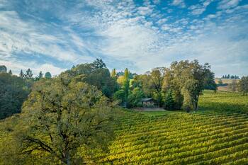 Durant Vineyard's Stoneycrest Cottage ~ stay amidst a destination for the senses