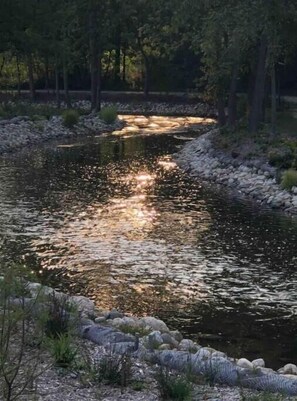 Bark river