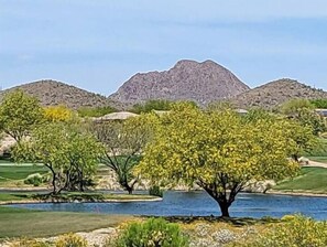 Golf course Views.