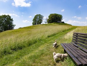 Die Wohnung ist ideal für Hundebesitzer