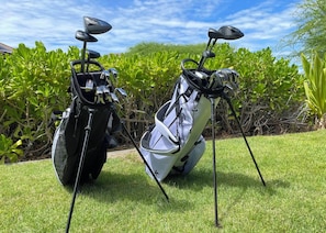 Complimentary golf club rentals included! World class golf courses minutes away.