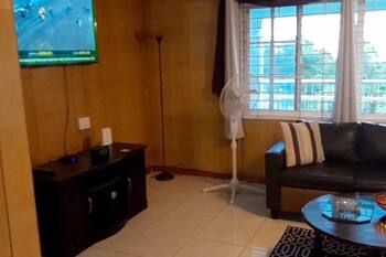 Bougainvillea Palms\n\n