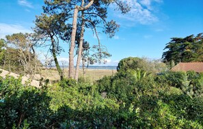 view-from-room