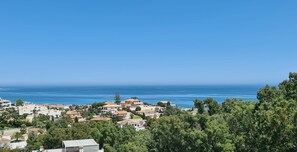 Beach/ocean view