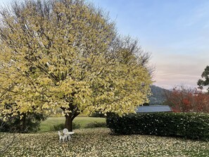 Boendeområde