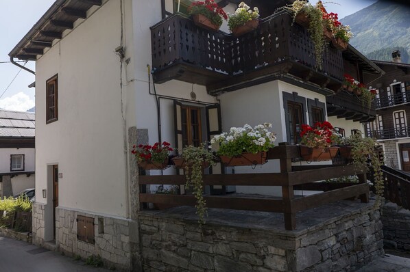 Pflanze, Gebäude, Eigentum, Fenster, Blumentopf, Tür, Haus, Zimmerpflanze, Holz, Strassenbelag