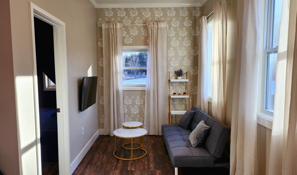 Living room (with futon couch)