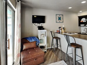 Living Room - TV and Sleeper Chair