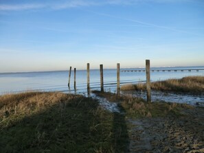 Salzwiesen Dangast