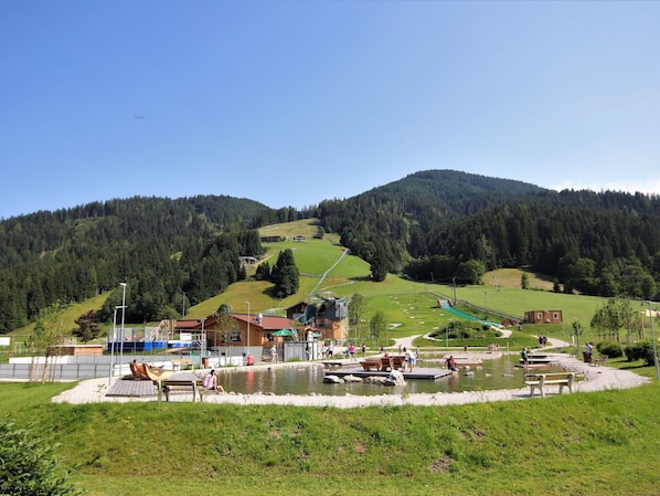 Himmel, Berg, Pflanze, Natürliche Landschaft, Baum, Hochland, Grundstueck, Gras, Wiese, Landschaft