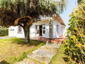 Plant, Plant Community, Window, Building, Land Lot, Vegetation, Cottage, Grass, Tree, Residential Area