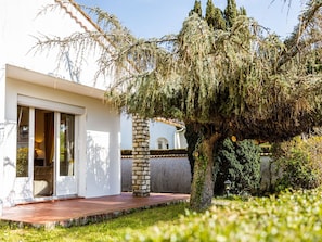 Plant, Building, Property, Botany, House, Vegetation, Yellow, Land Lot, Window, Cottage