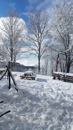 Snow and ski sports