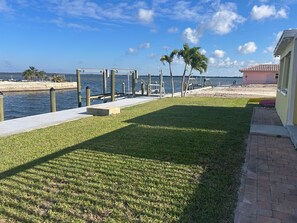 Back yard
