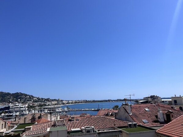 view