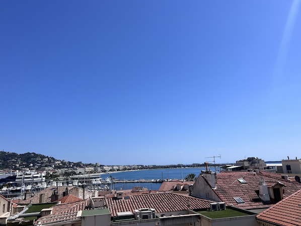 view