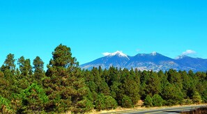 Enjoy the breathtaking view of the San Francisco peaks from many locations right here in Flagstaff.