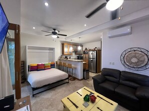 Queen Size Murphy Bed in Living Room--super comfortable!