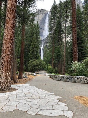 Yosemite Falls 2,425'