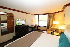 bedroom with television & desk