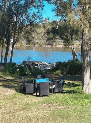 Back yard