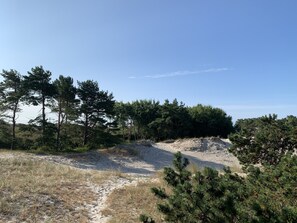 Boendeområde